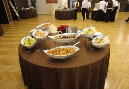 2011 November, catering ob obisku predsednika drževe g. Turka, 190 gostov  ---- hladno topli bife, na sliki solatni bife